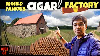 This is How 🔥 WORLD’S BEST CIGARS are Made│🇨🇺 Cuba Vlog 3 [upl. by Gonsalve]