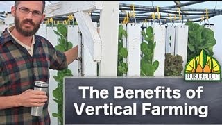 The Benefits of Vertical Farming [upl. by Ellac]