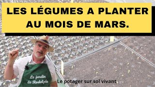 Le potager au mois de mars au nord de la France [upl. by Arlen757]