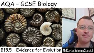 B155  Evidence for Evolution  AQA Biology GCSE 91 [upl. by Eisso]