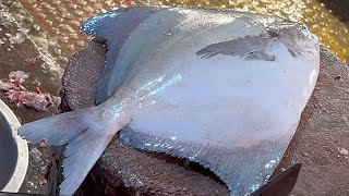 Amazing Big Pomfret Fish Cutting Skills Live In Fish Market  Fish Cutting Skills [upl. by Ijnek]