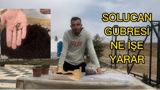 Solucan gübresi ile verimi artır nasil kullanmalıyız solucan gübresi faydaları nelerdir [upl. by Omland]