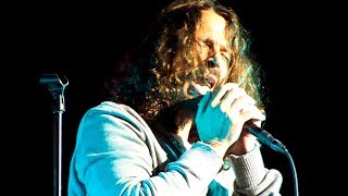 Temple Of The Dog  Reach Down Live At Alpine Valley [upl. by Jobe308]