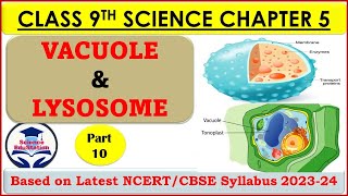 Vacuole and Lysosome  Cell Organelles  The Fundamental Unit of Life Part 10  Class 9 Biology [upl. by Enyawud805]