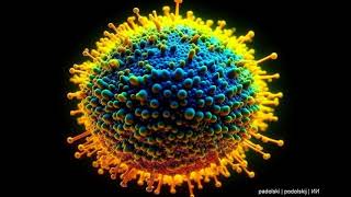 The vaccination against the human papillomavirus HPV provides protective effects against cancer [upl. by Kylila]