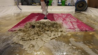 From Right Stink To Bright Pink INCREDIBLE Timelapse Restoration Satisfying ASMR Carpet Cleaning [upl. by Paley]