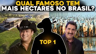 TOP 3 FAMOSOS QUE MAIS TEM FAZENDAS E GADO NO BRASIL [upl. by Ellen]