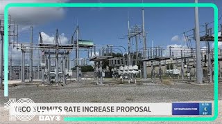 TECO submits rate increase proposal [upl. by Rosenbaum]