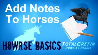 Add Notes To Horses  Howrse Basics [upl. by Nodyarg818]