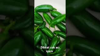 Kışlık Patlıcan ve biber kızartma sosu food nefisyemektarifleri kışlıkhazırlık youtubeshorts [upl. by Cloutman]