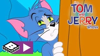 Tom i Jerry Show  Jajka na śniadanie  Cartoonito [upl. by Spearman]