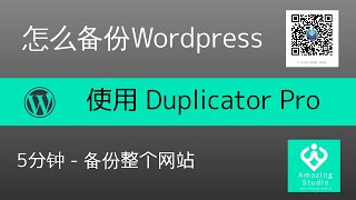 2021如何怎么备份WORDPRESS网站，使用DUPLICATOR PRO 备份WORDPRESS网站，HOW TO USE DUPLICATOR PRO BACKUP WORDPRESS [upl. by Afinom]