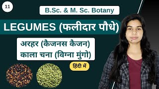 Economic Botany  LEGUMES  फलीदार पौधे  Botany [upl. by Kcired]