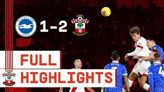 HIGHLIGHTS Brighton amp Hove Albion 12 Southampton  Premier League [upl. by Danforth662]