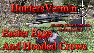 Air Rifle Hunting Easter Eggs And Hooded Crows [upl. by Vokaay]