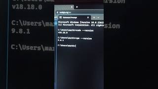 How to Install Nodejs and npm on Windows [upl. by Rastus37]