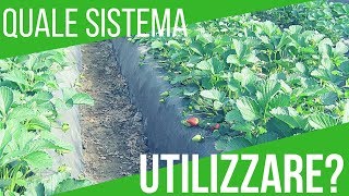 TRE METODI PER FARE LORTO  FINTA SEMINA TELO PACCIAMANTE PACCIAMATURA  ORTO E GIARDINAGGIO [upl. by Aviva83]