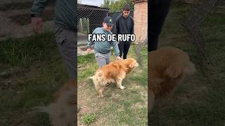 El Rufo🐶 es famoso 😂😂 [upl. by Konikow201]