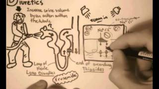 Hypertension  Cardiac  Medications Part III [upl. by Aitan955]