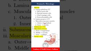 Stomach histology [upl. by Ayle]