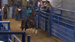 Kassie Mowry  2023 NFR Round 8 [upl. by Janette]