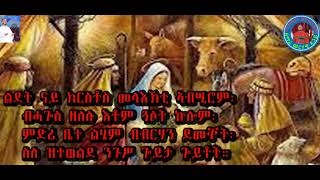 ኣማን ብ ኣማን ተወሊዱ ጎይታ Zemari merhawi tsegay ናይ ልደት መዝሙር aman b aman tewelidu goyta ዘማሪ መርሃዊ ጸጋይ [upl. by Ojyma]