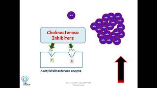 MOA of Cholinesterase inhibitorsAnticholinesterases edrophonium neostigmine  Organophosphates [upl. by Jaco]