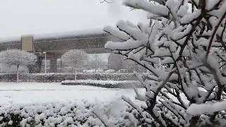 Sneeuw in Spijkenisse 10 december 2017 [upl. by Ennadroj]