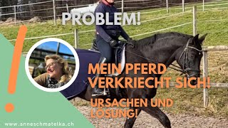 Mein Pferd verkriecht sich  Ursachen und die Lösung [upl. by Kurtzman]