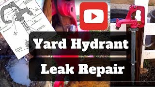 How To  Leak Repair Adjustment on a Frost Free Yard Hydrant [upl. by Auqinu]