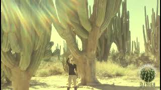 Cardón  Pachycereus pringlei  Saguaro  Carnegiea gigantea  sahuaro [upl. by Gareth]