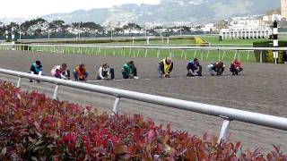 Wiener dog races Final [upl. by Judy]