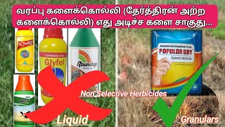 வரப்பு களைக்கொல்லி சிறந்தது எது  தரிசு நில களைக்கொல்லி  Non selective herbicides [upl. by Attesor]