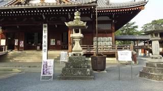 The Great Buddha of Kamakura🇯🇵  Kotokuin temple [upl. by Asinla771]