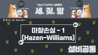 배관설비 마찰손실1 HazenWilliams 공식 [upl. by Ashlie641]