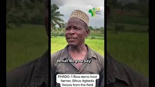 PHRDG1 Rice demonstration plots host farmer in Nasarawa State [upl. by Anuaik]