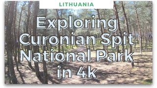 4K Exploring Curonian Spit National Park on foot and on the bike Beautiful spring in UNESCO WHS [upl. by Matelda343]