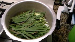 Oil Extraction from Herbs with DIY Kitchen Still [upl. by Acirema]