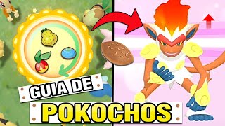 ✨Cómo Hacer el POKOCHO PERFECTO Para Concurso  Pokémon Diamante Brillante Perla Reluciente [upl. by Muhammad]