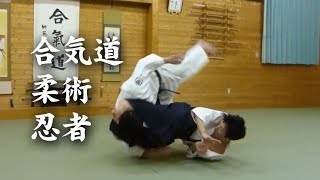 合気道と柔術amp忍者 AikidoampJiuJitsuampNinja techniques [upl. by Akcimat]