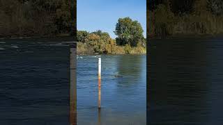 Nice view of River Zambezi in Zambia [upl. by Ellenod]