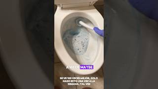 Easy Tip for Removing Toilet Water Rings  Nitrile Gloves amp Clorox Toilet Wand [upl. by Ttevi]