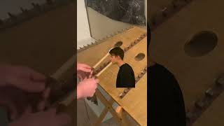 i mean really goodviaevanplaysdulcimer funnyvideos funny virals comedy Wow INTERNETfyp [upl. by Netty]