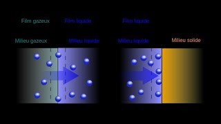 Absorption vs Adsorption 【4K】 [upl. by Sherrard]