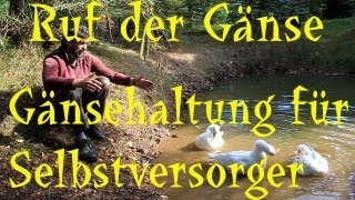 Gänsehaltung für Selbstversorger [upl. by Edahsalof385]