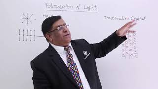 Class 12th – Polarization of Light  Wave Optics  Tutorials Point [upl. by Eiddam890]