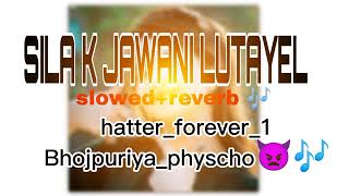 Sila k jawani lutayel Bhojpuri song 🎧 slowedreverb viralvideo bhojpurisong [upl. by Sebastian]