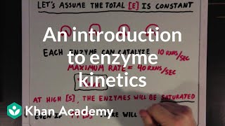 An introduction to enzyme kinetics  Chemical Processes  MCAT  Khan Academy [upl. by Aislehc903]