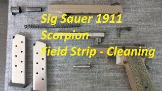 Sig Sauer 1911 Scorpion  Field Strip [upl. by Gschu782]