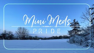 Mini Meditation  PRIDE  5 Minute Guided Meditation for Pride in Yourself 😊 [upl. by Oleta]